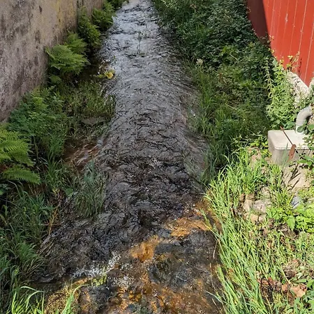 Le Ruisseau Du Bamont * Saulxures-sur-Moselotte