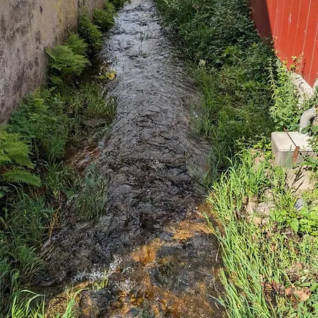 Le Ruisseau Du Bamont * Saulxures-sur-Moselotte