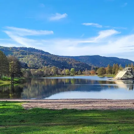 Le Ruisseau Du Bamont Saulxures-sur-Moselotte