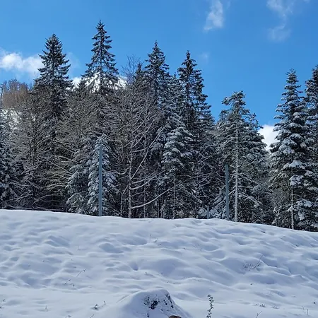 Le Ruisseau Du Bamont 아파트 *