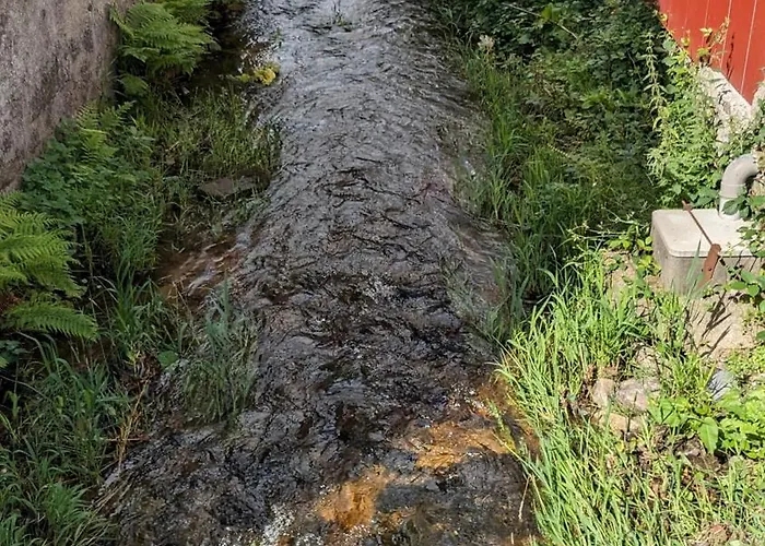 Le Ruisseau Du Bamont * Saulxures-sur-Moselotte