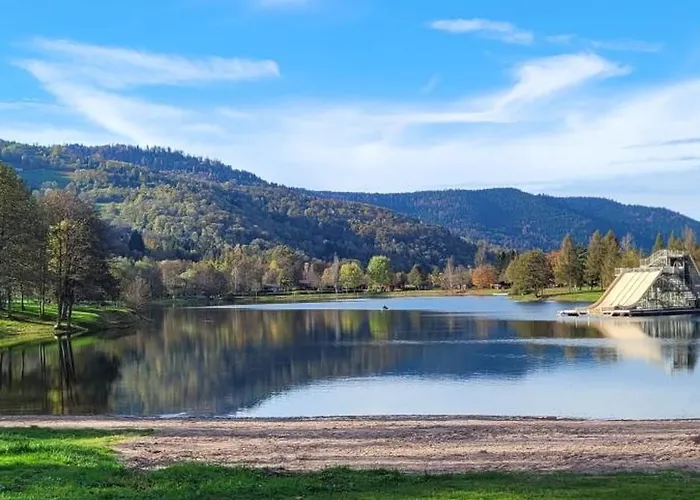Le Ruisseau Du Bamont Saulxures-sur-Moselotte