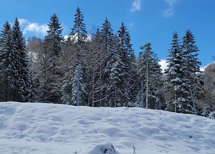 Le Ruisseau Du Bamont Apartmán *